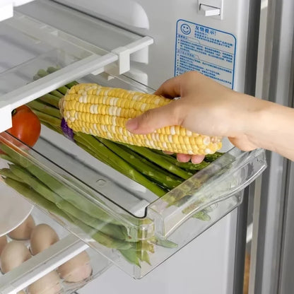 Under-Shelf Fridge Organizer — Fruit, Egg & Produce Rack